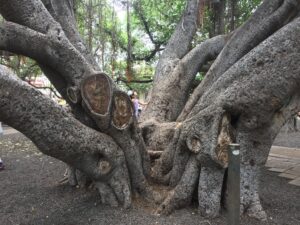 12. Träumen von einer heilen Welt